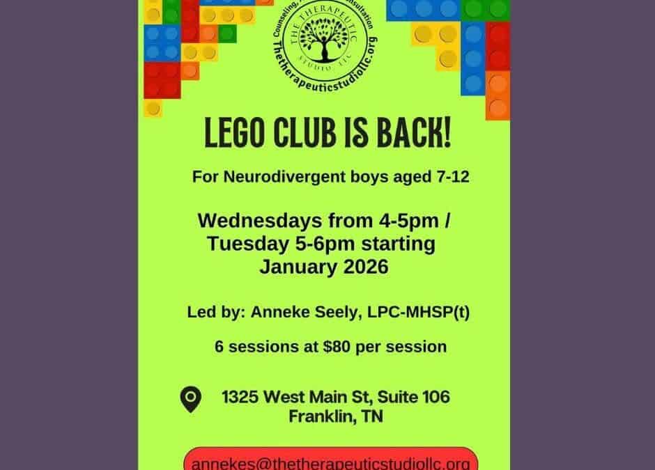 Lego Club Social Skills Group